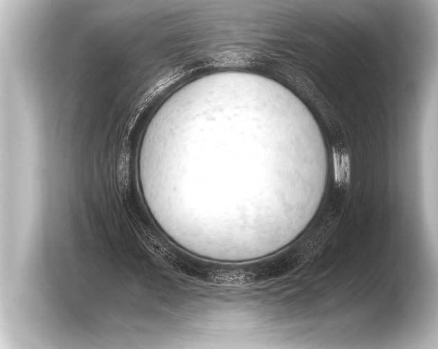 X0000103960675200810031205