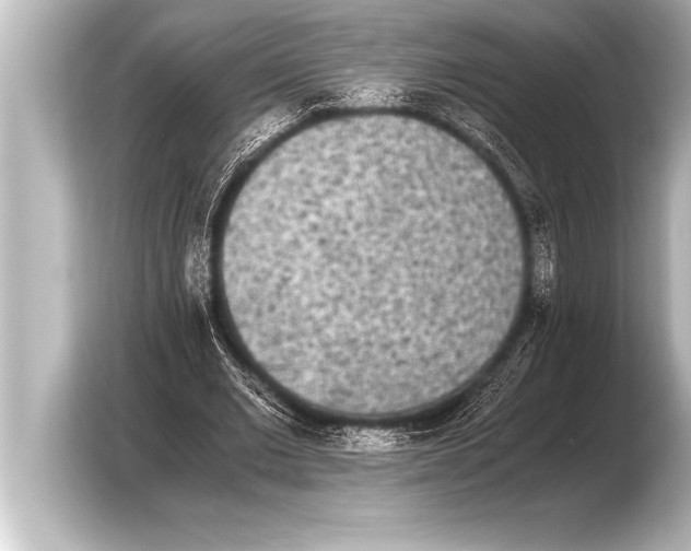 X0000103960677200810031205
