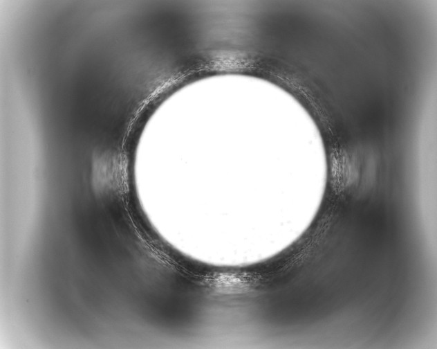 X0000103960684200810031204