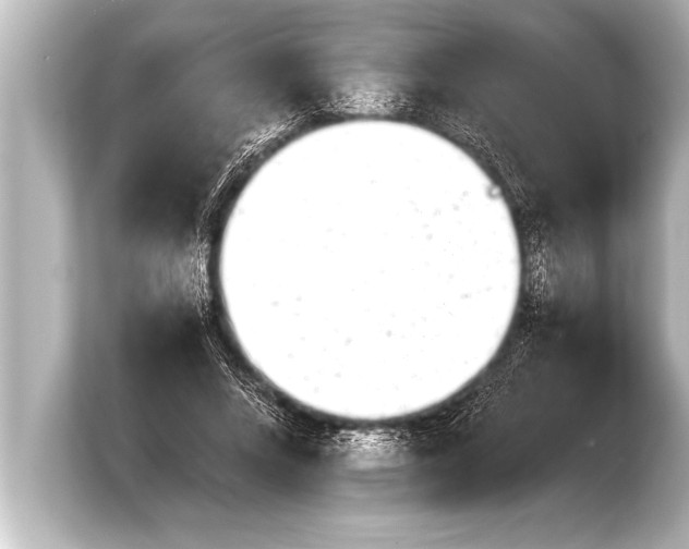 X0000103960688200810031204