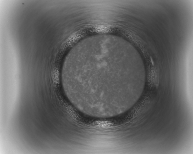 X0000103960689200810031204