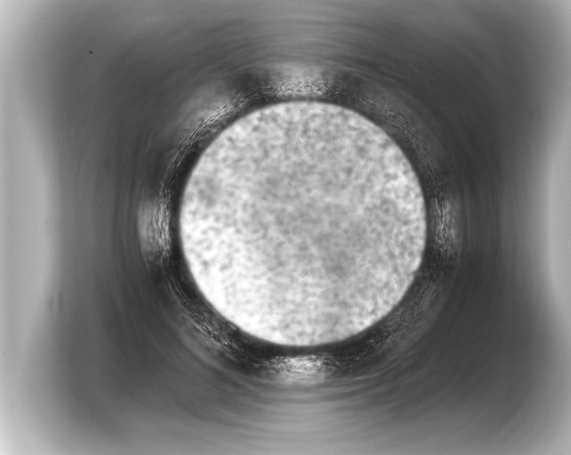 X0000103960692200810031204