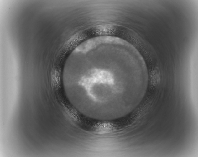 X0000103960695200810031204