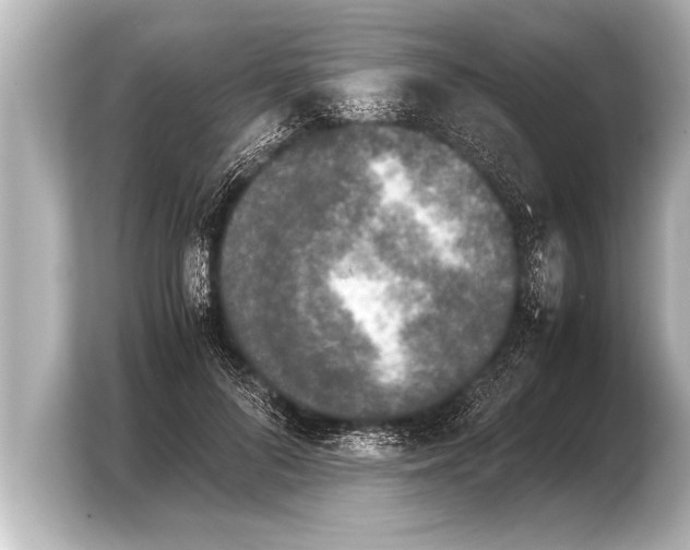 X0000103960696200810031204