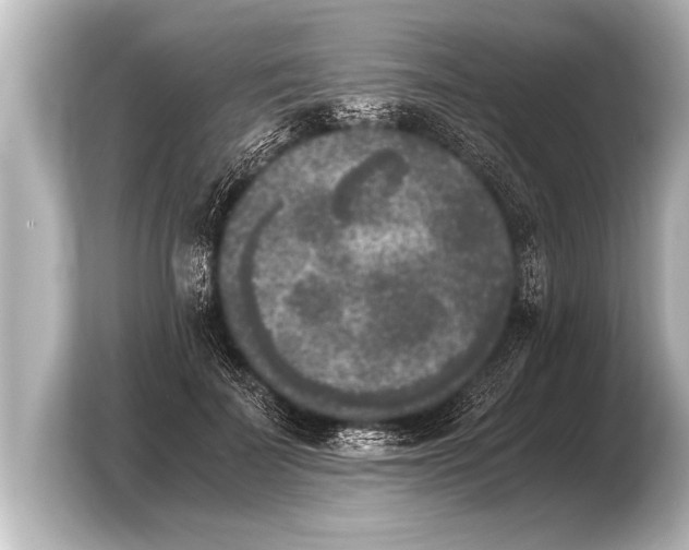 X0000103960699200810031204