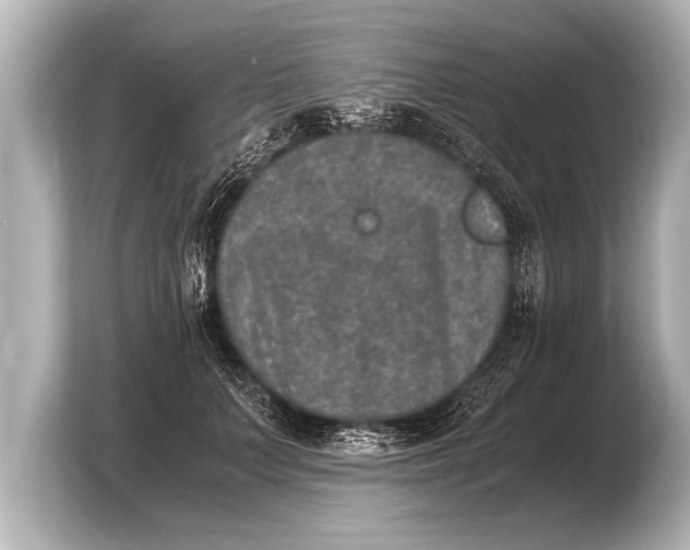 X0000103960703200810031204