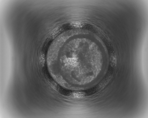 X0000103960707200810031204