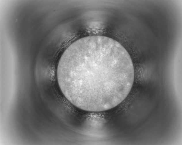 X0000103960709200810031204