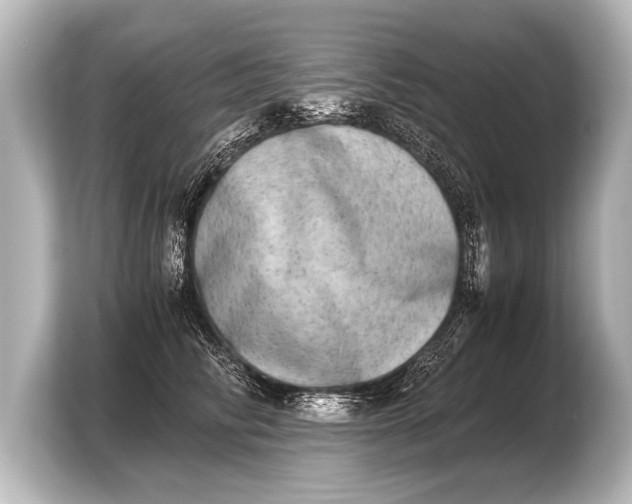 X0000103960710200810031204