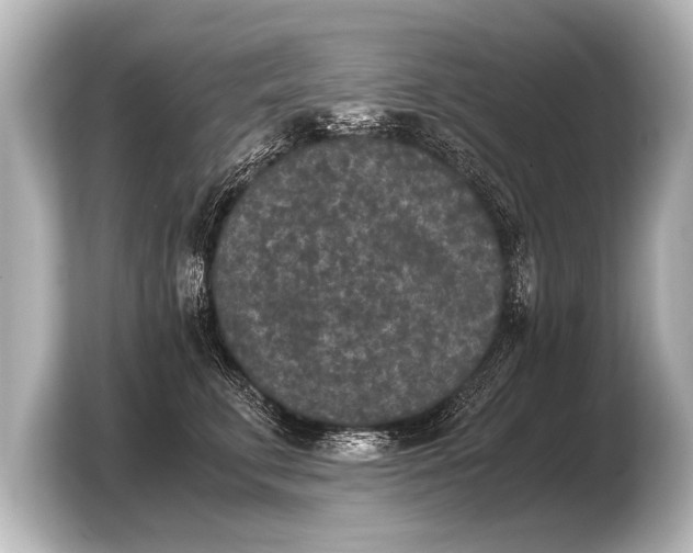 X0000103960711200810031204