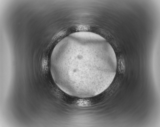 X0000103960714200810031204
