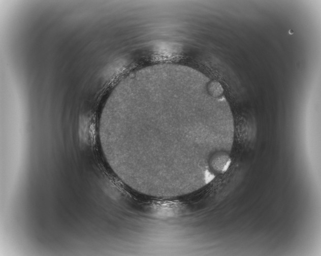 X0000103960716200810031204