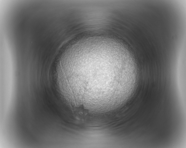 X0000103960717200810031204