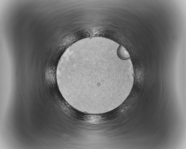 X0000103960719200810031204