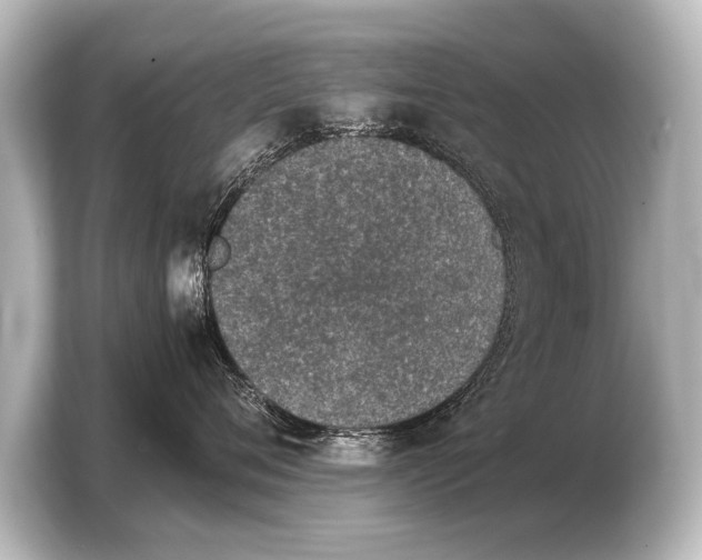 X0000103960720200810031204