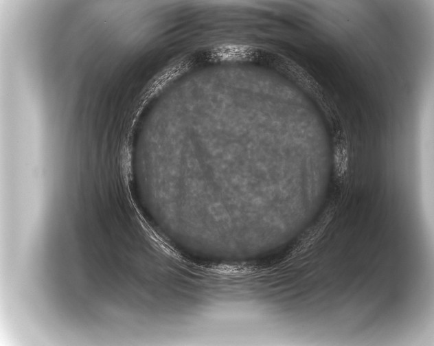 X0000103960725200810031203