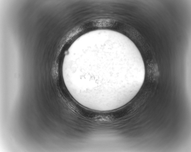 X0000103960727200810031203