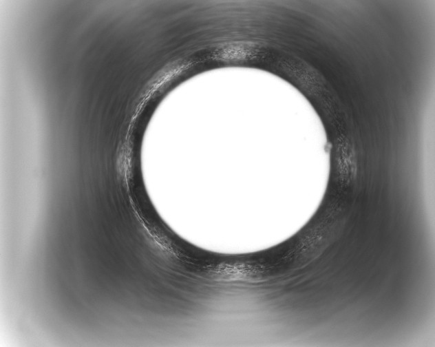 X0000103960728200810031203