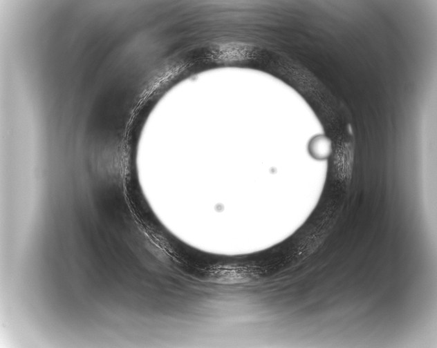 X0000103960732200810031204