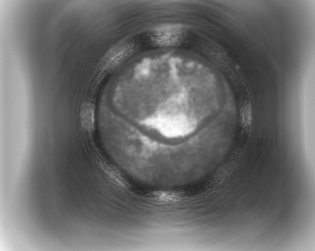 X0000103960733200810031204