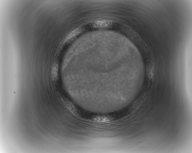 X0000103960735200810031204