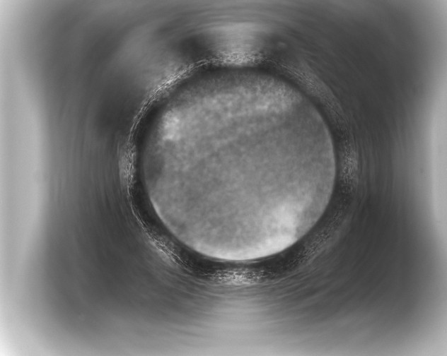X0000103960736200810031204