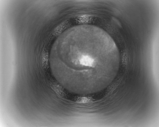X0000103960737200810031204