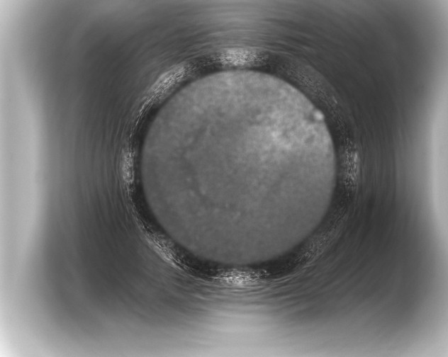 X0000103960738200810031204
