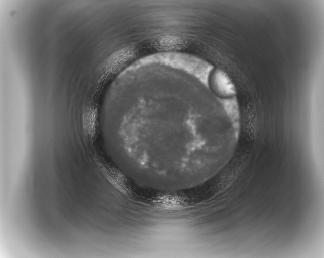 X0000103960742200810031204