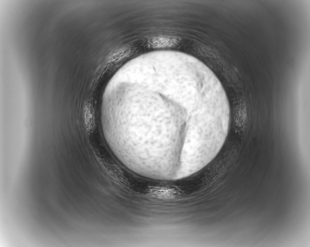X0000103960743200810031204