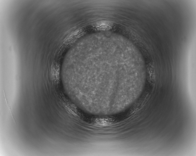 X0000103960745200810031204