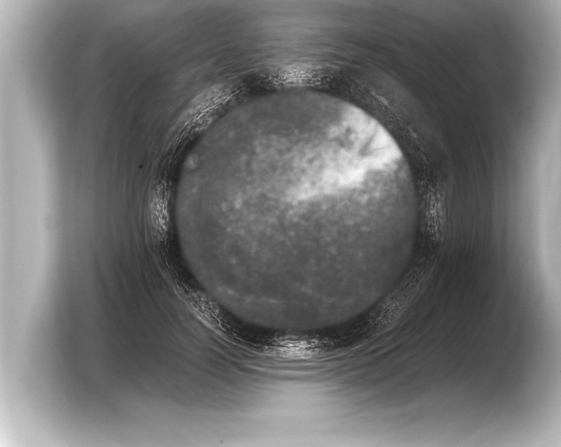 X0000103960746200810031204