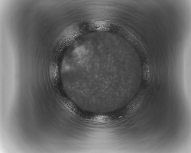 X0000103960748200810031204