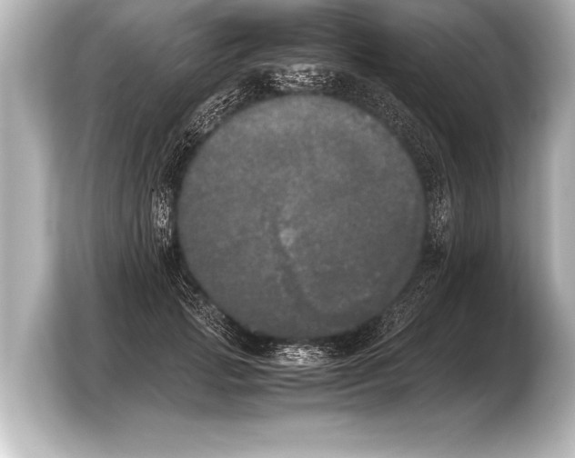 X0000103960749200810031204