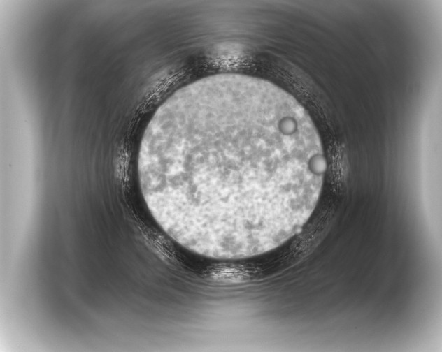 X0000103960750200810031204