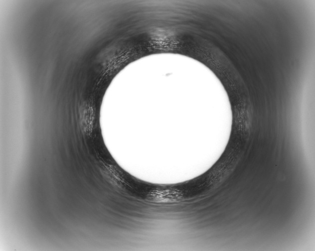 X0000103960752200810031204