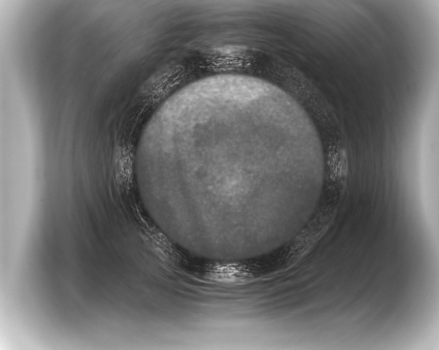 X0000103960753200810031204