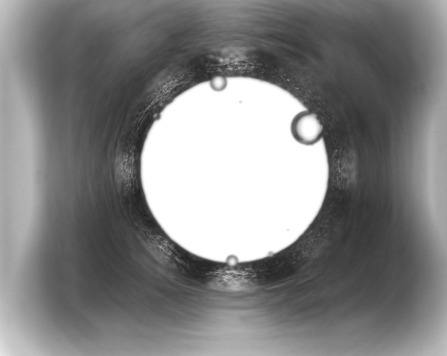 X0000103960756200810031204