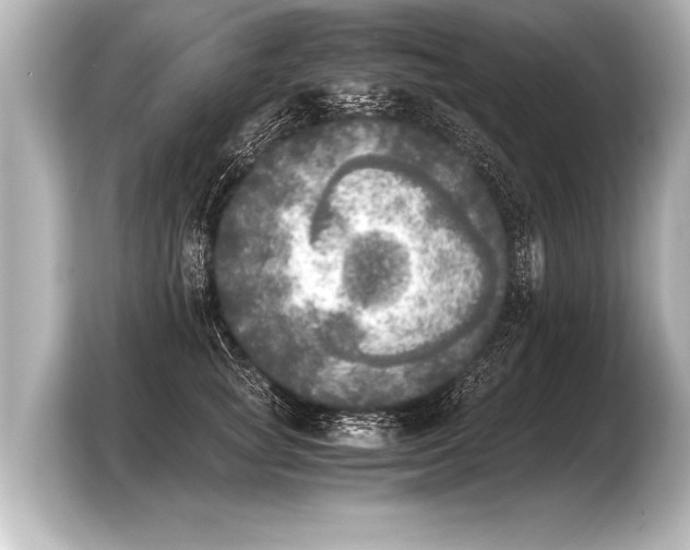 X0000103960757200810031204