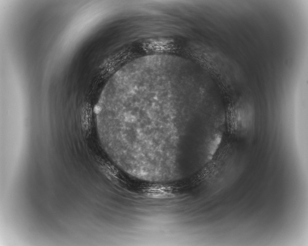 X0000103960760200810031204