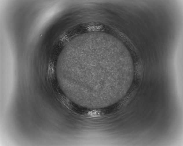 X0000103960761200810031204