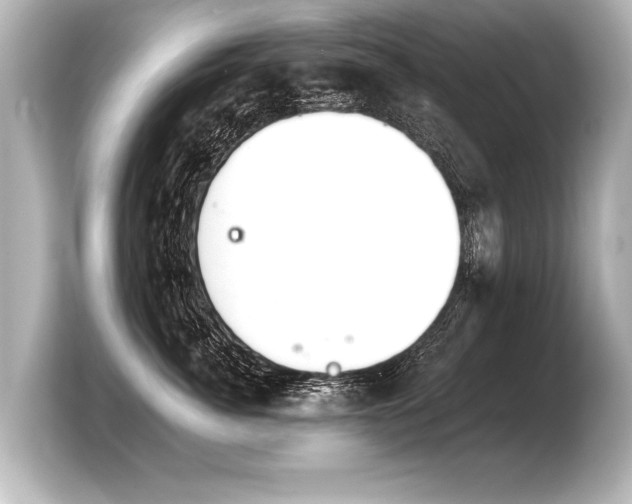 X0000103960764200810031204