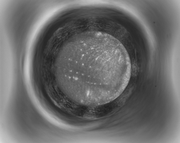 X0000103960765200810031204