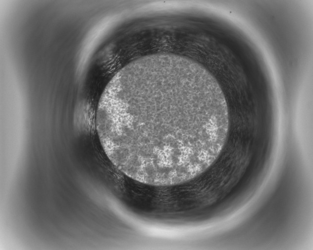 X0000103960766200810031204