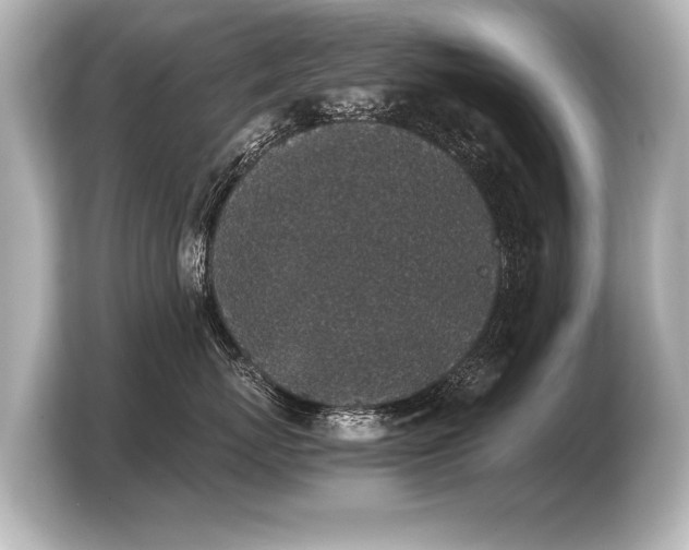 X0000103960767200810031204