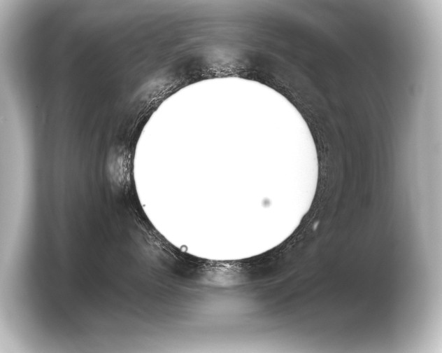 X0000103960768200810031204
