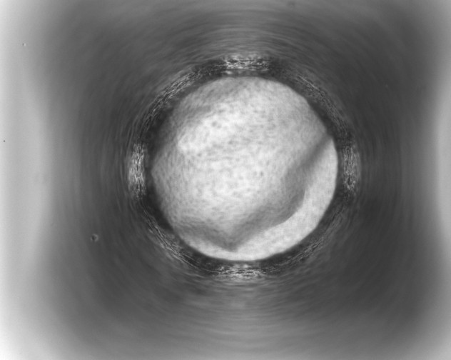 X0000103960770200810031203