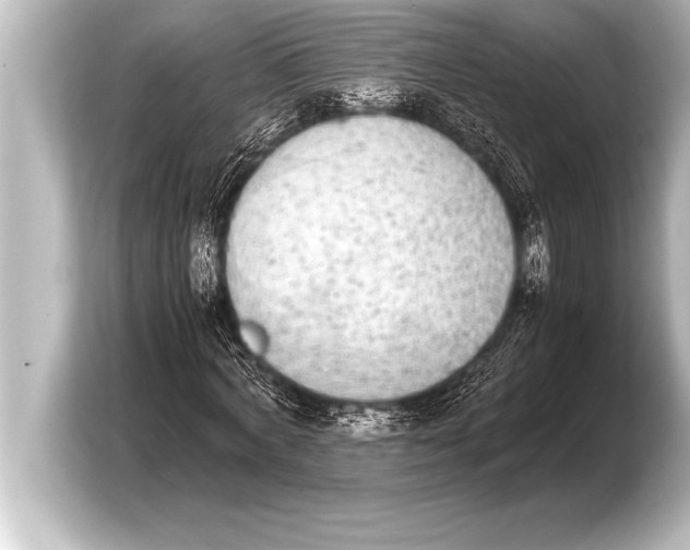 X0000103960772200810031203