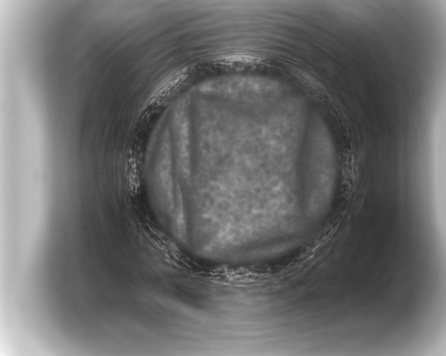 X0000103960774200810031203