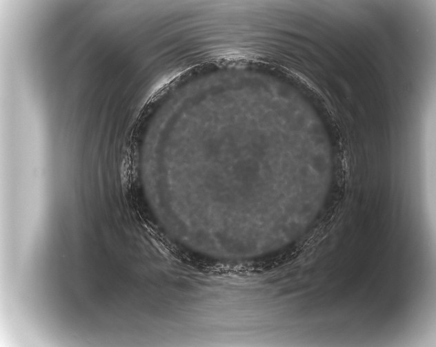 X0000103960775200810031203